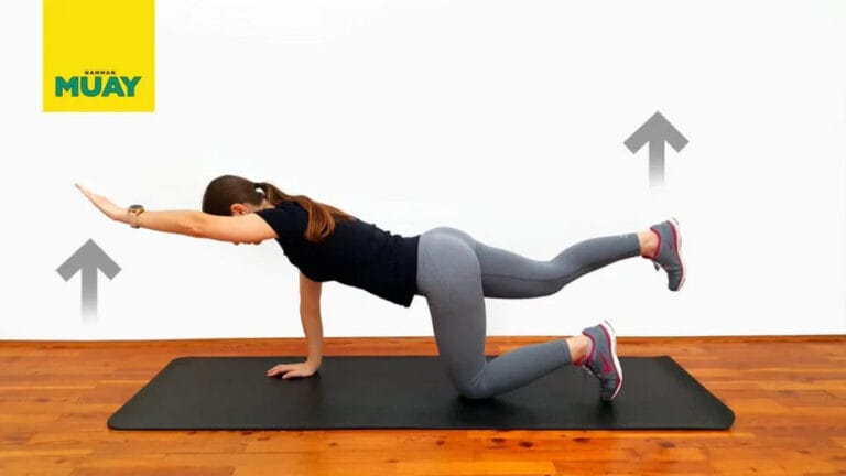 Estensione in quadrupedia – esercizio per core e schiena